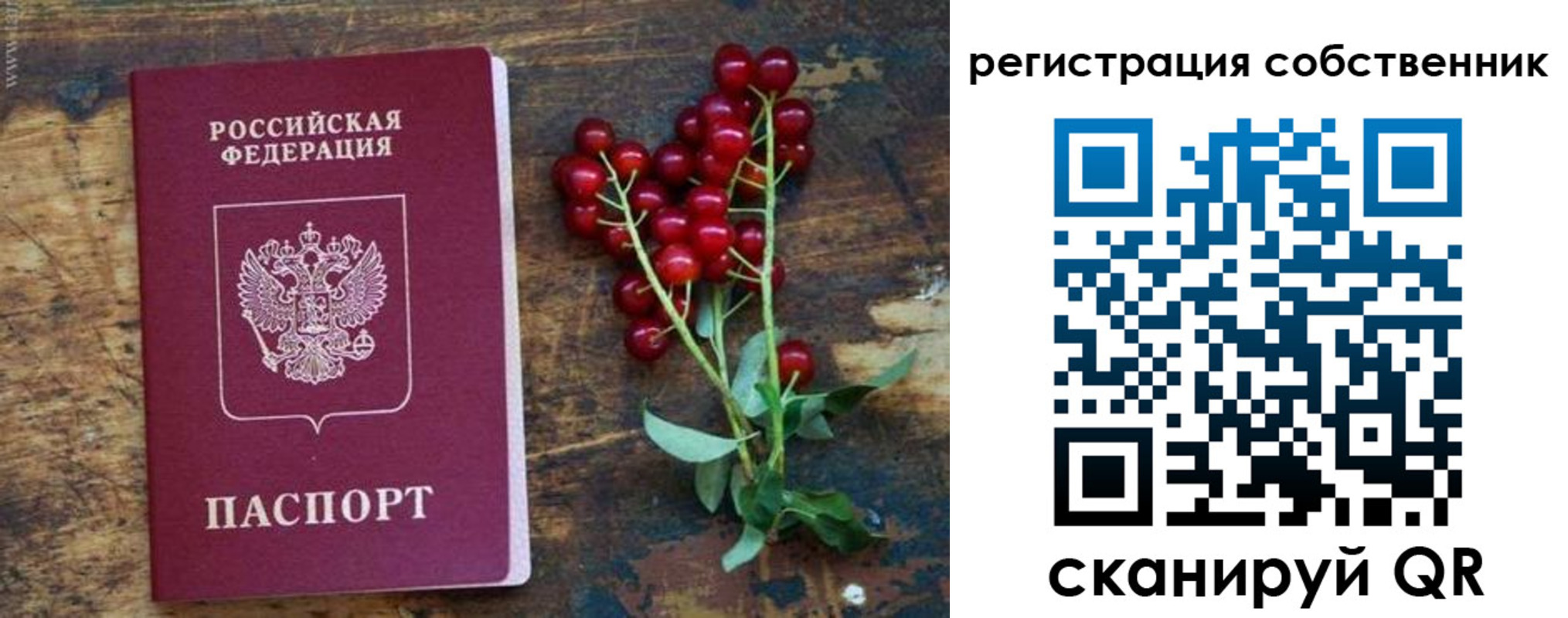 регистрация для дет. сада в Киреевске
